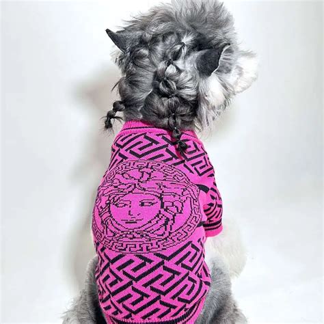 versace dog clothes|versace dog accessories.